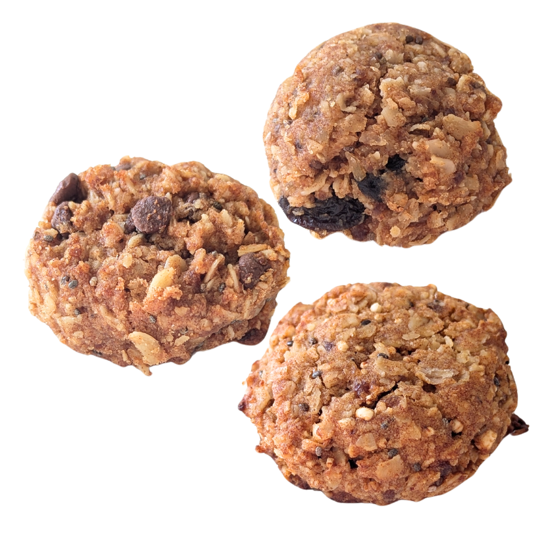 Oatmeal Cookie Bites - 6 oz Container: Gluten-Free Oatmeal Cookies – Allergen-Friendly & Vegan Delight