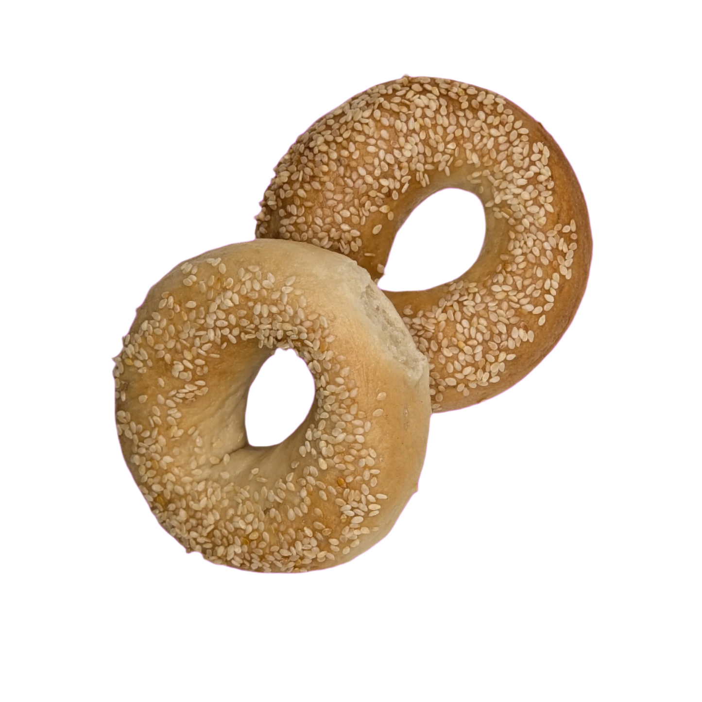 NY STYLE BAGEL: Gluten-Free Vegan New York-Style Bagels – Authentic Taste, Allergen-Friendly - Inbite